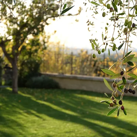 Guest house La Rocca &